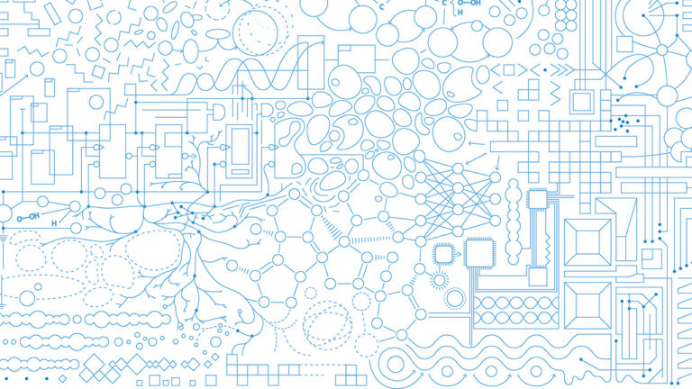 Ten years of PD14: milestone model shapes digital neuroscience and AI research