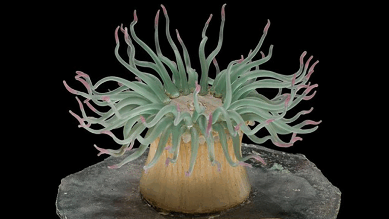 Artistic Research Part 2: “[A]rt and science are not distinct domains, but are intertwined practices”